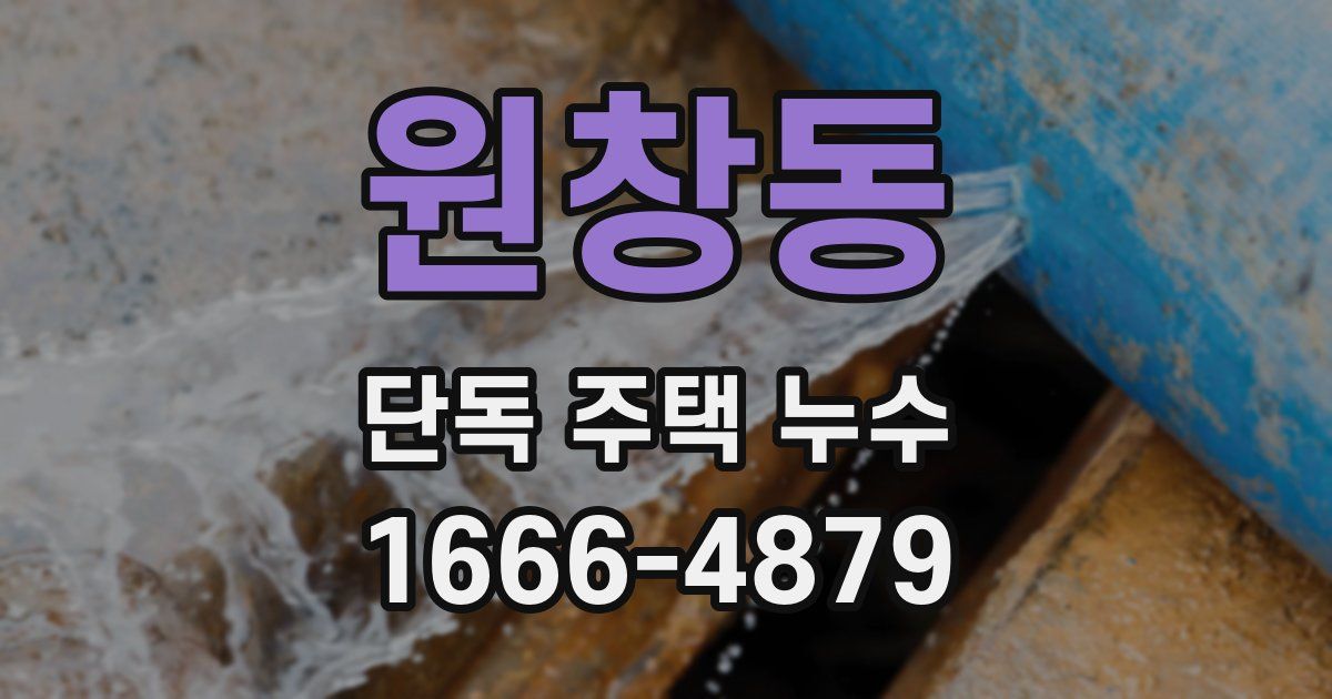 원창동 단독 주택 누수