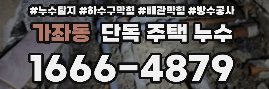 가좌동 단독 주택 누수