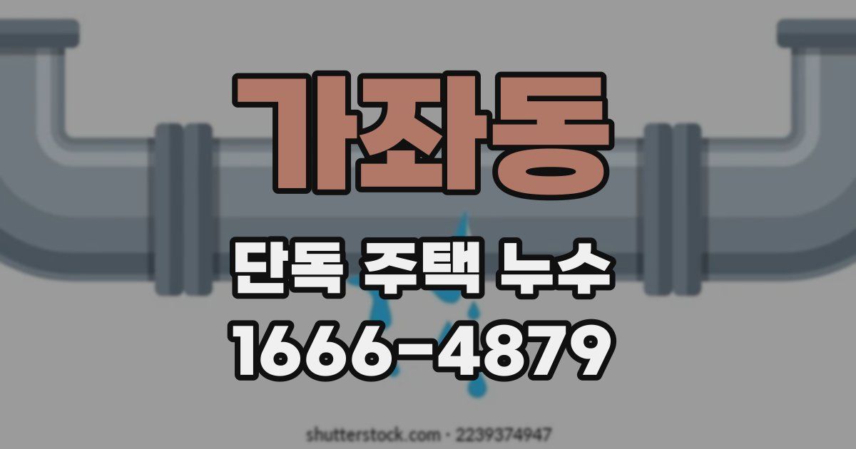 가좌동 단독 주택 누수