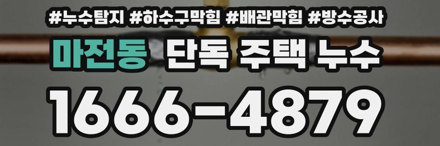 마전동 단독 주택 누수