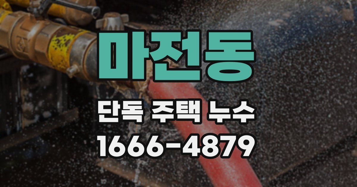 마전동 단독 주택 누수