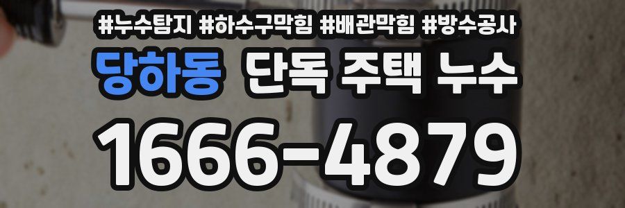 당하동 단독 주택 누수