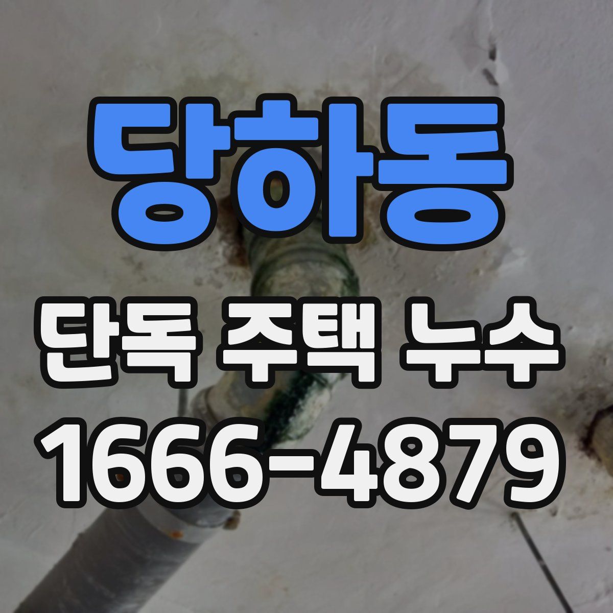 당하동 단독 주택 누수