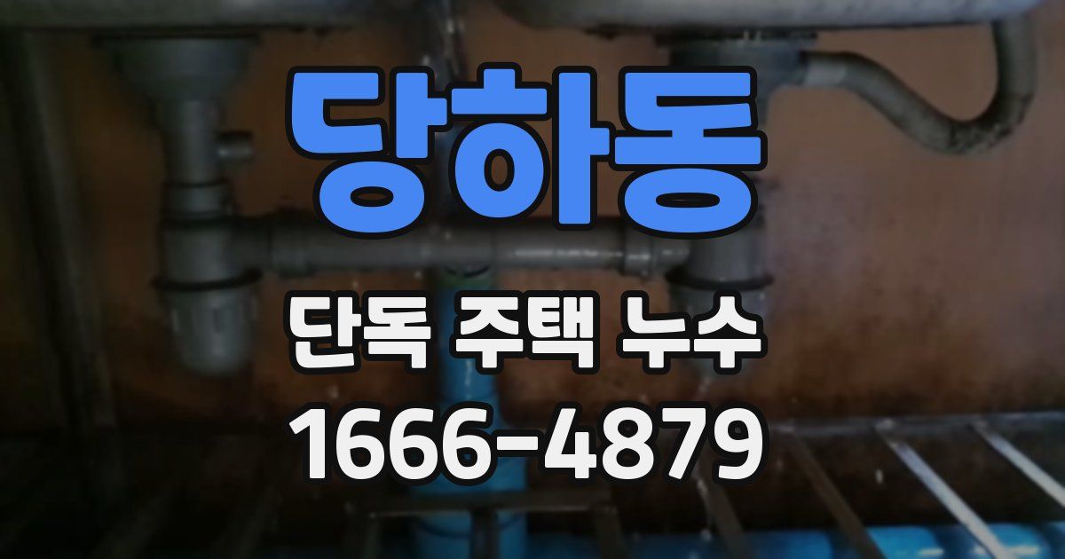 당하동 단독 주택 누수