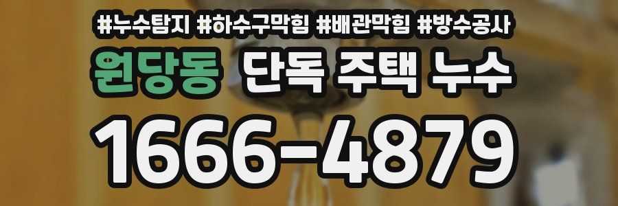 원당동 단독 주택 누수