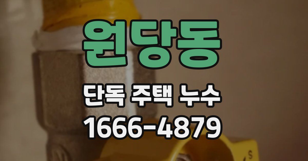 원당동 단독 주택 누수