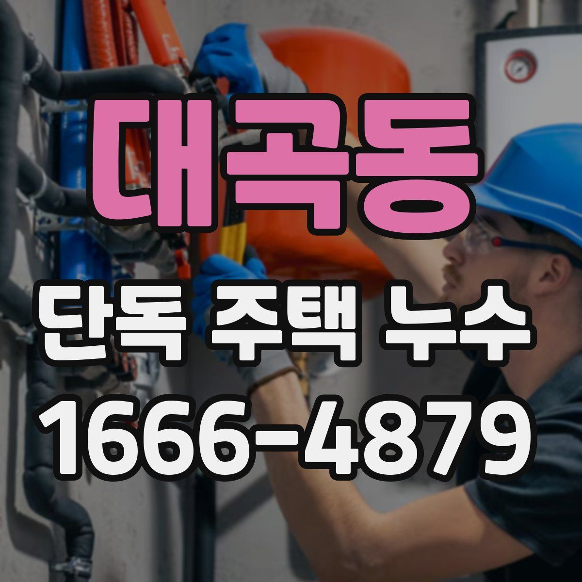 대곡동 단독 주택 누수