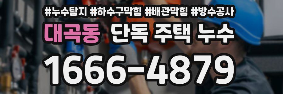 대곡동 단독 주택 누수