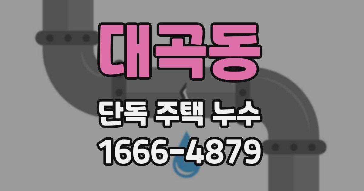 대곡동 단독 주택 누수