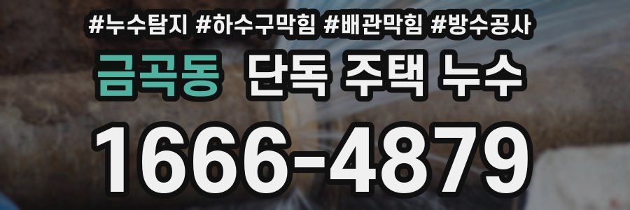 금곡동 단독 주택 누수