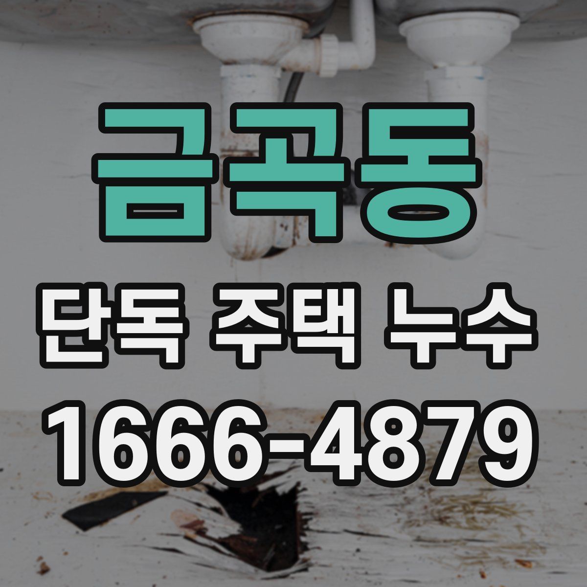 금곡동 단독 주택 누수