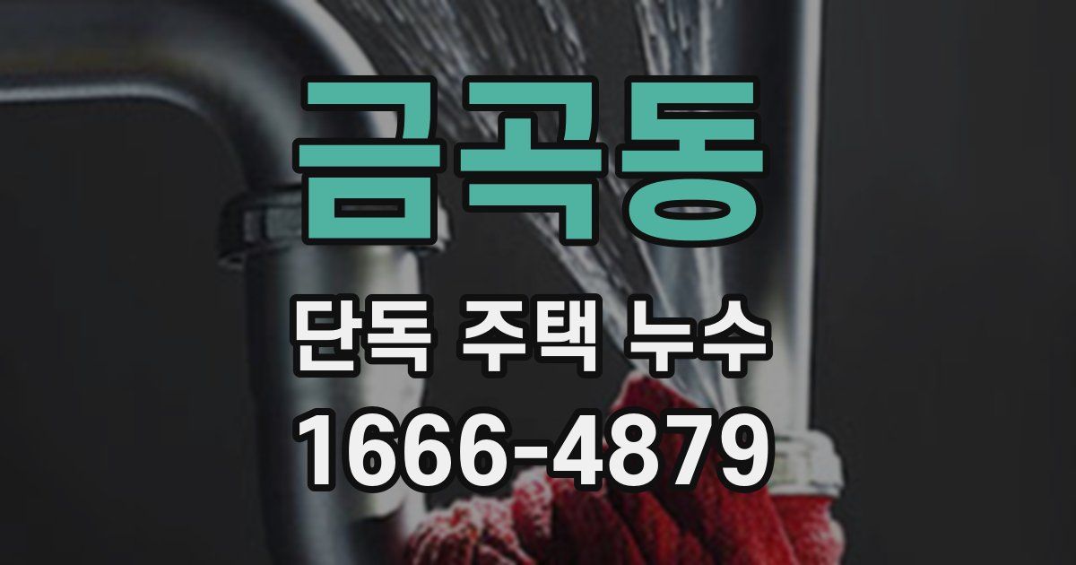 금곡동 단독 주택 누수