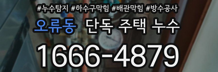 오류동 단독 주택 누수