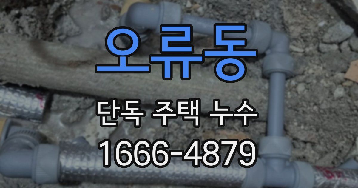 오류동 단독 주택 누수