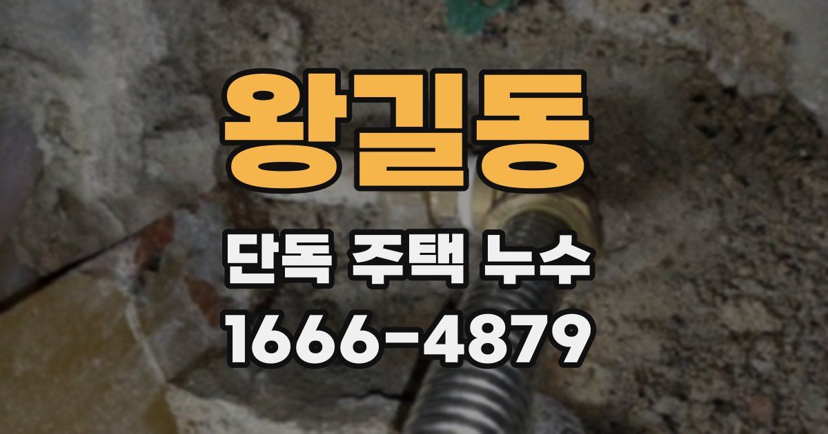 왕길동 단독 주택 누수