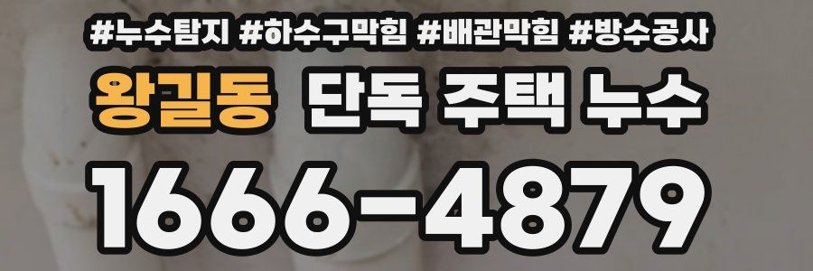 왕길동 단독 주택 누수