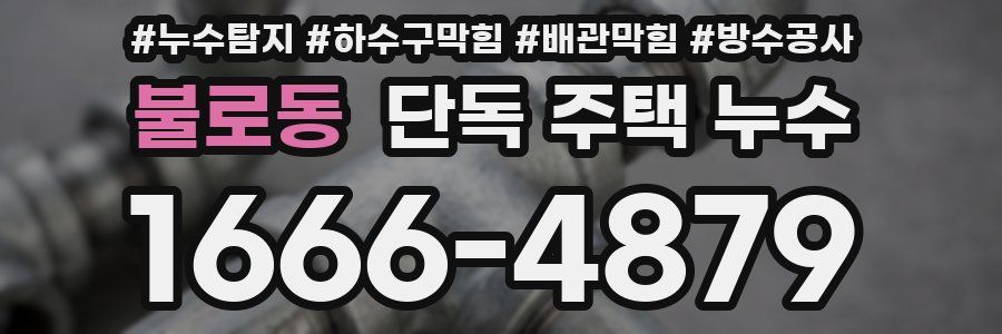 불로동 단독 주택 누수
