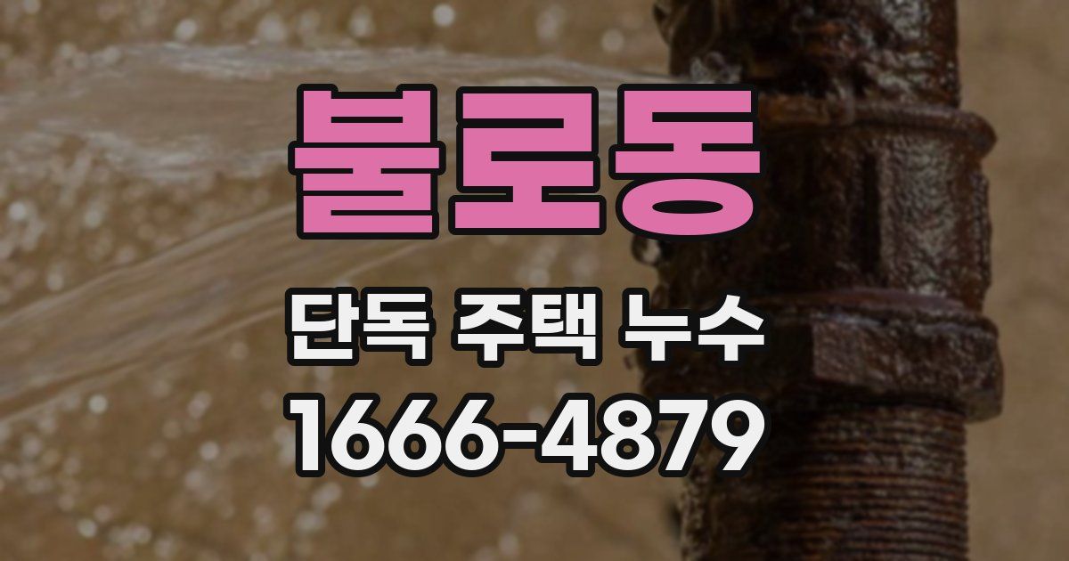 불로동 단독 주택 누수