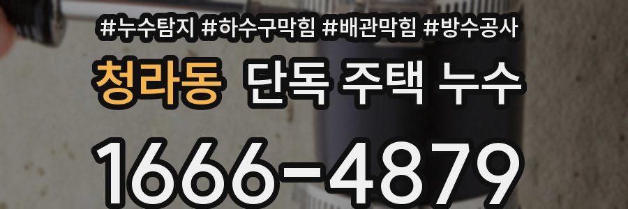 청라동 단독 주택 누수