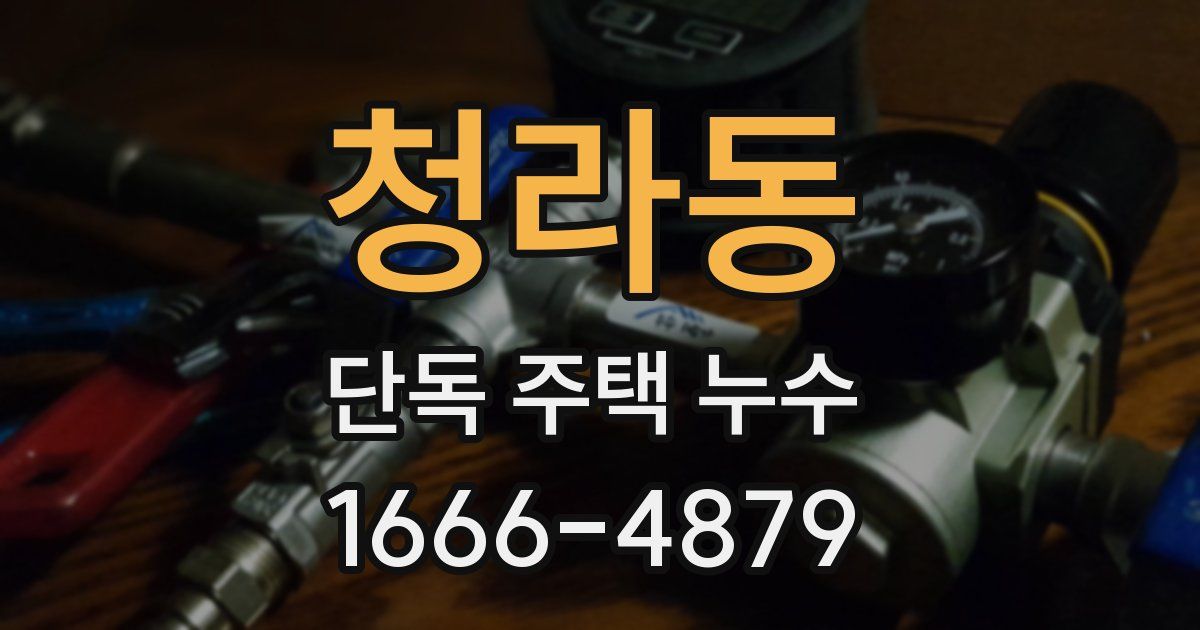 청라동 단독 주택 누수