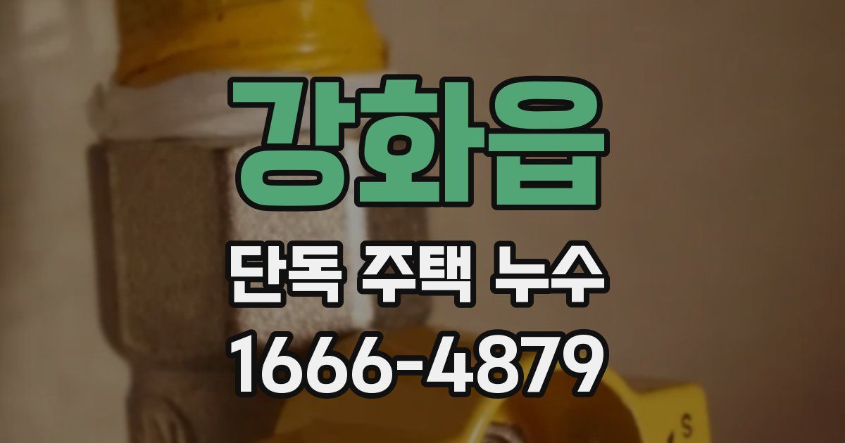 강화읍 단독 주택 누수