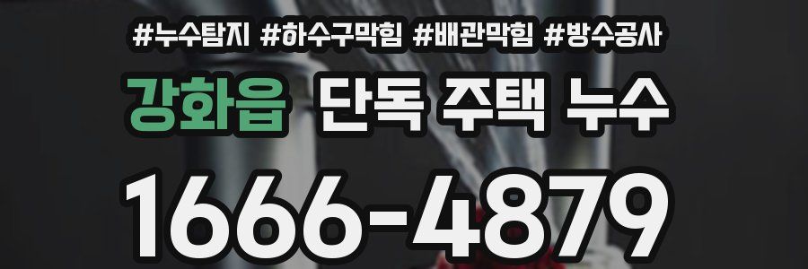 강화읍 단독 주택 누수