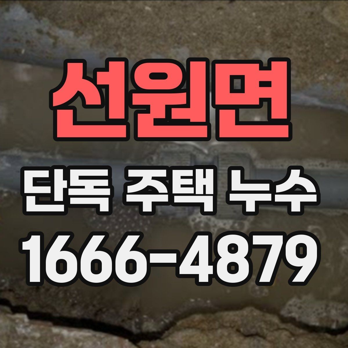 선원면 단독 주택 누수 탐지 장비 선택 기준