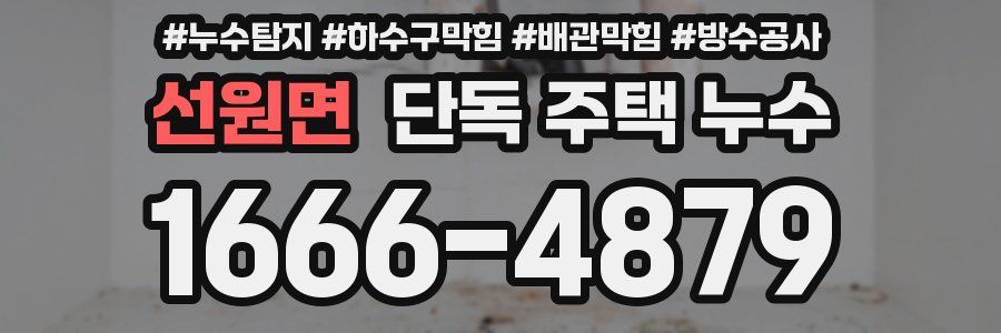 선원면 단독 주택 누수