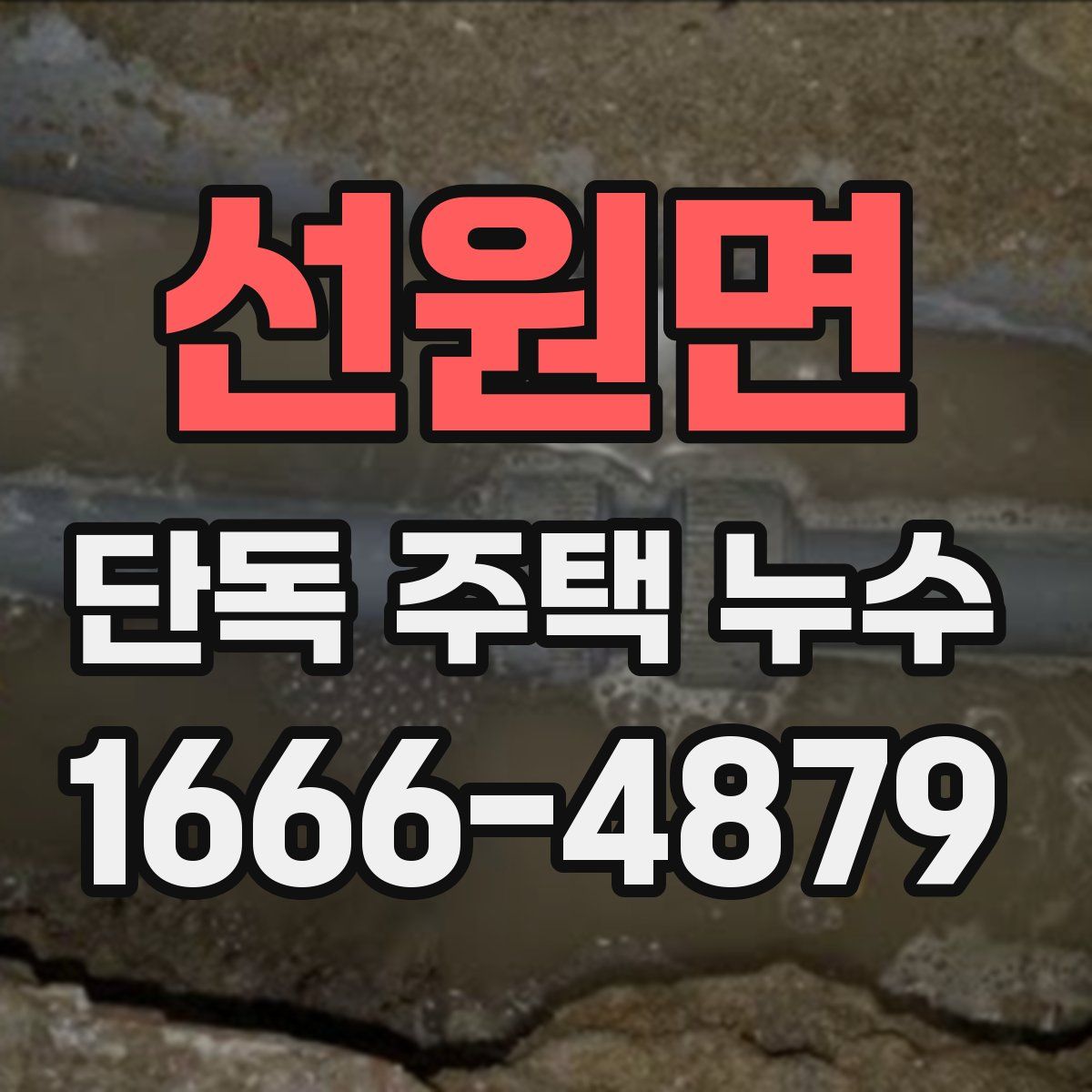선원면 단독 주택 누수