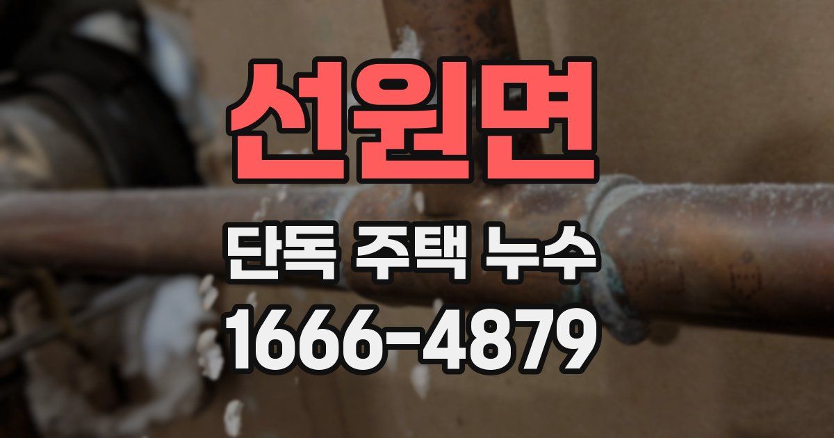 선원면 단독 주택 누수