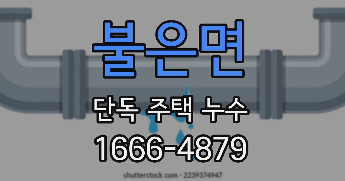 불은면 단독 주택 누수