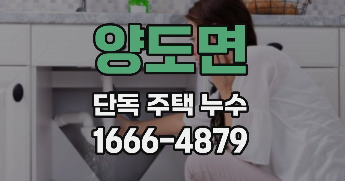 양도면 단독 주택 누수