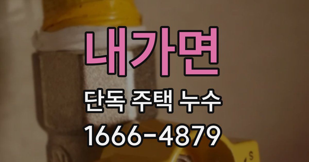 내가면 단독 주택 누수
