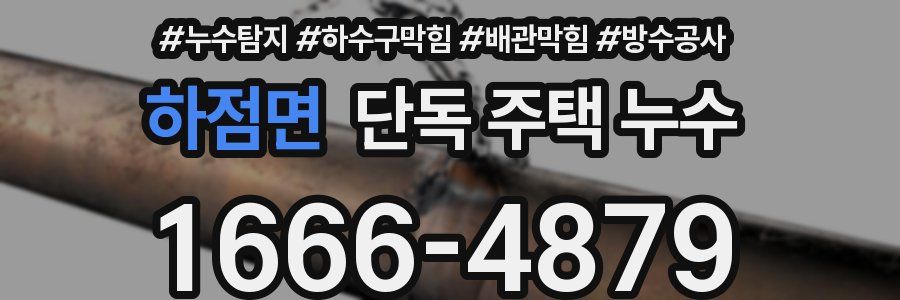 하점면 단독 주택 누수