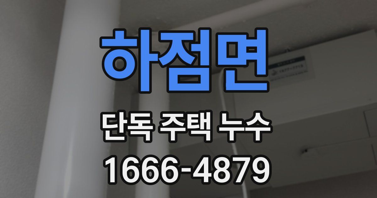 하점면 단독 주택 누수