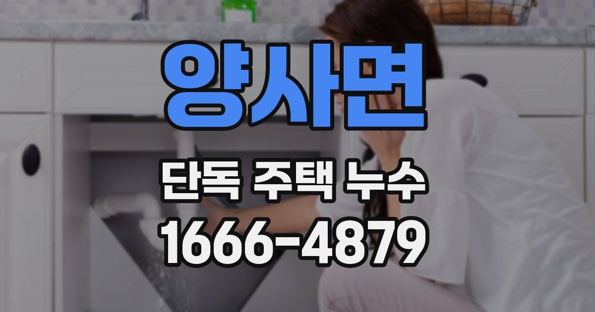 양사면 단독 주택 누수
