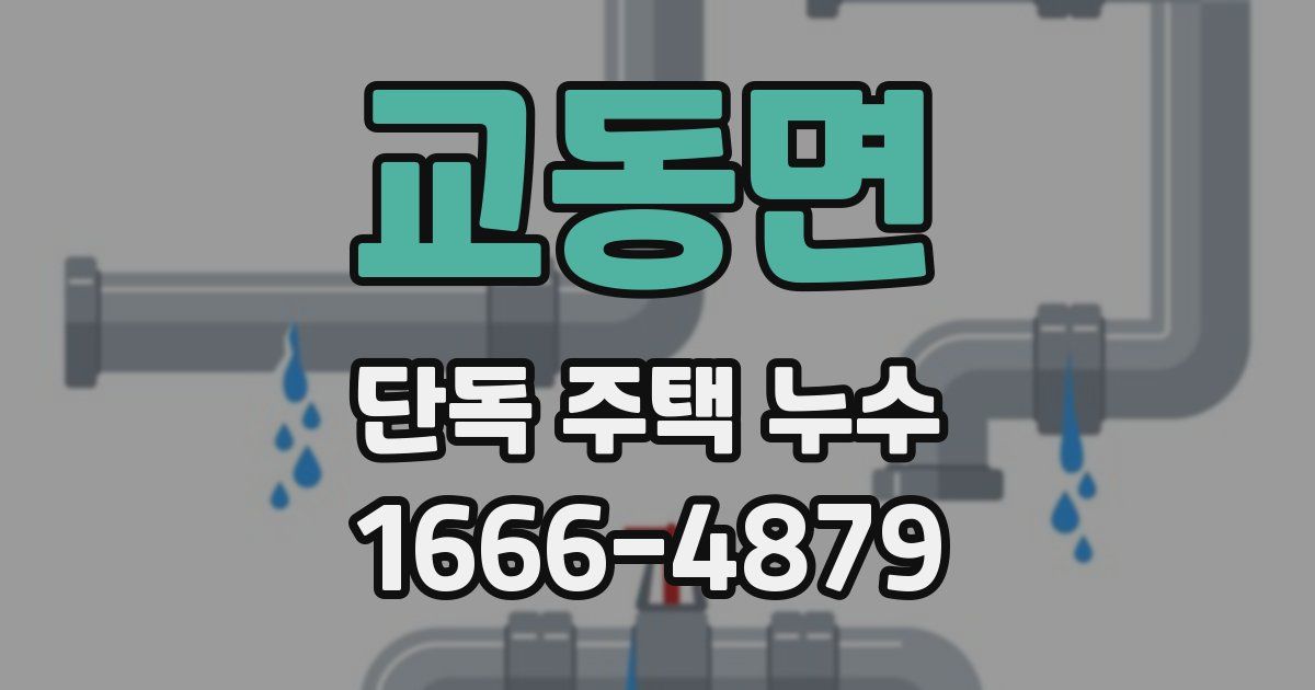교동면 단독 주택 누수