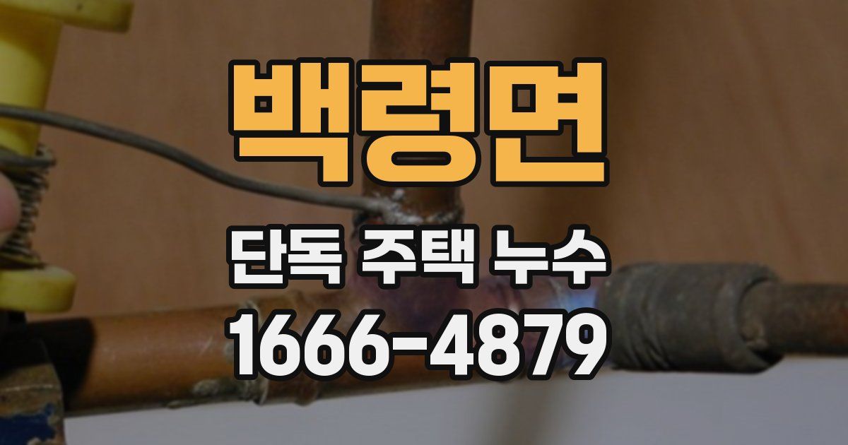 백령면 단독 주택 누수