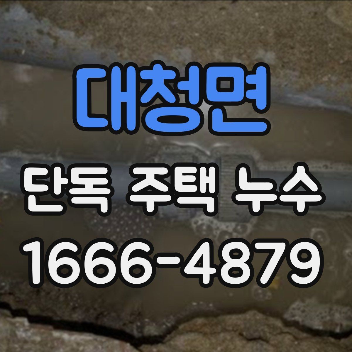 대청면 단독 주택 누수 세입자와 집주인이 나눠볼 책임 범위