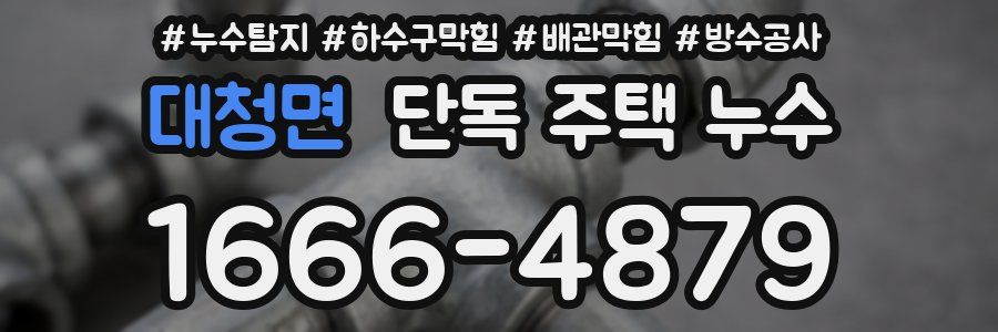 대청면 단독 주택 누수