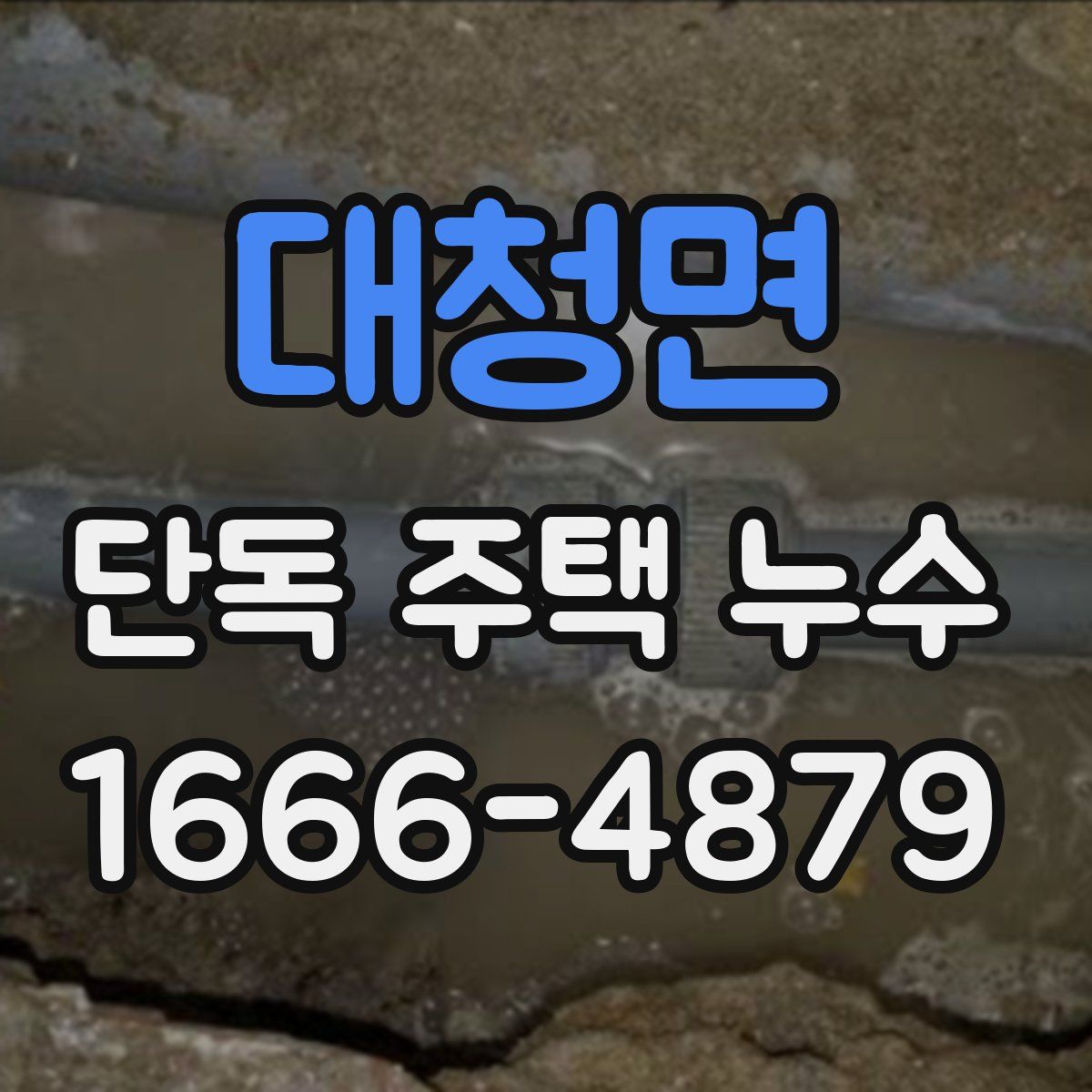 대청면 단독 주택 누수