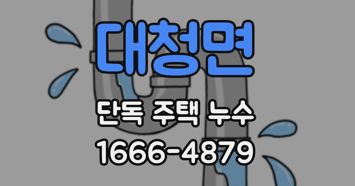 대청면 단독 주택 누수
