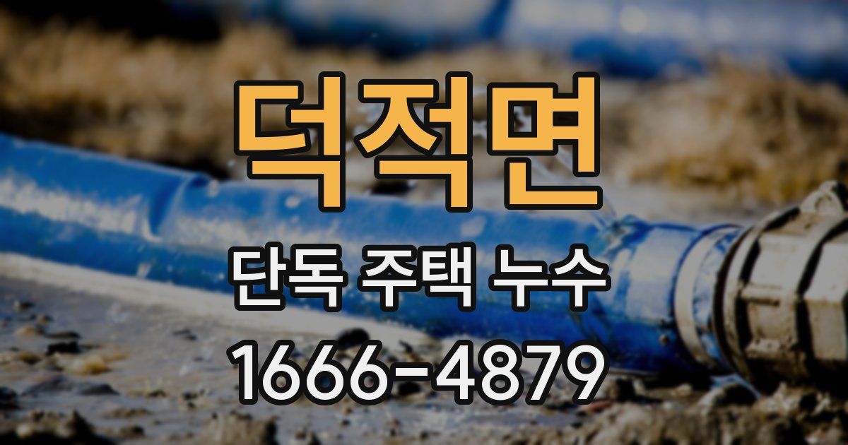 덕적면 단독 주택 누수
