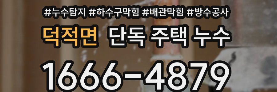 덕적면 단독 주택 누수