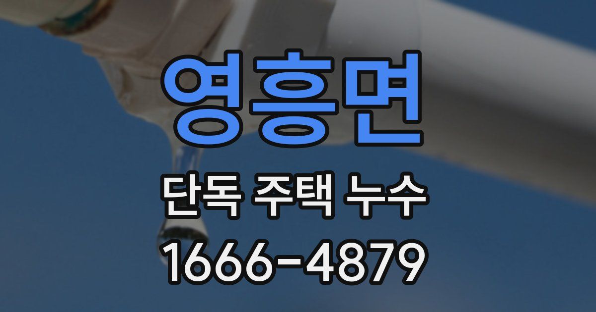영흥면 단독 주택 누수