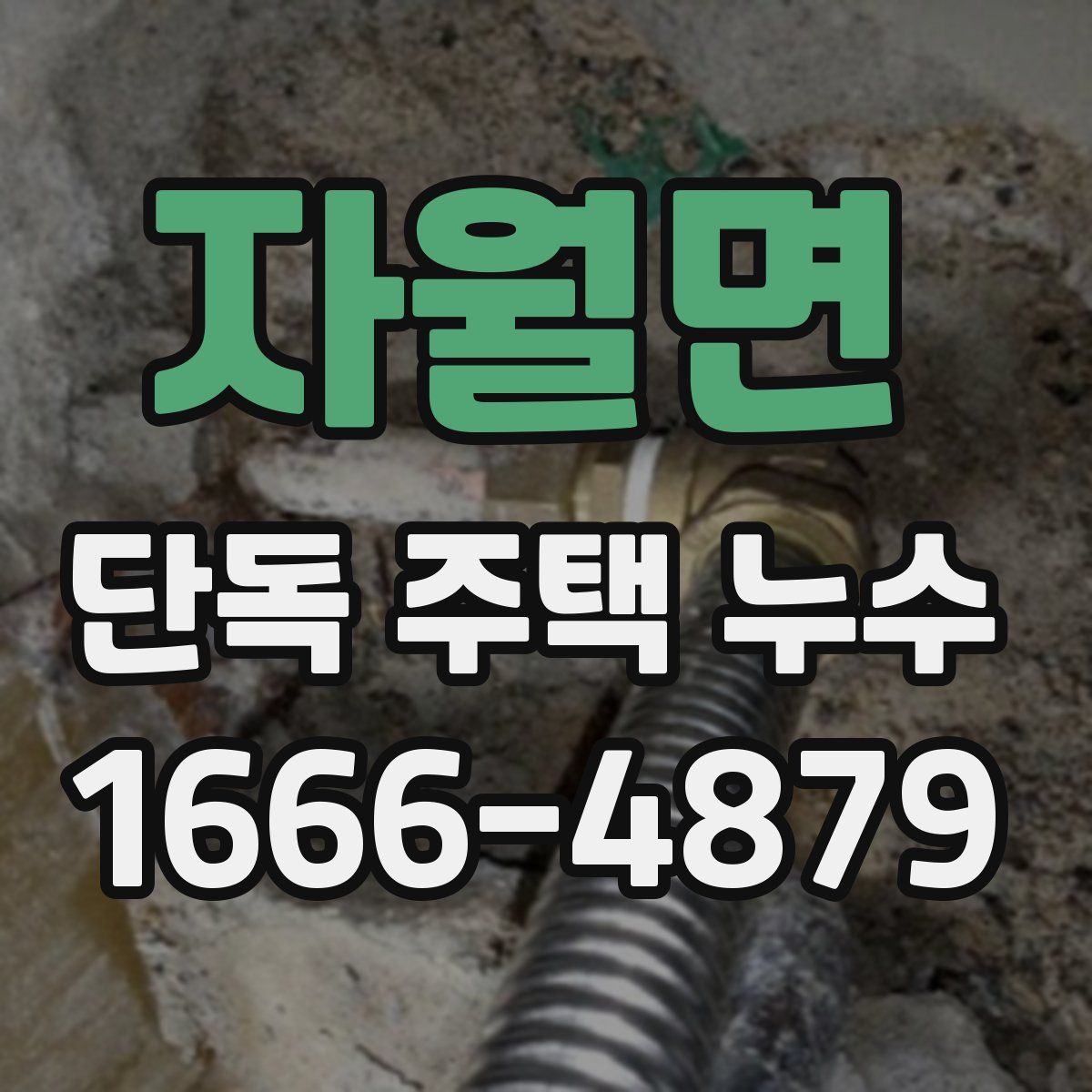 자월면 단독 주택 누수