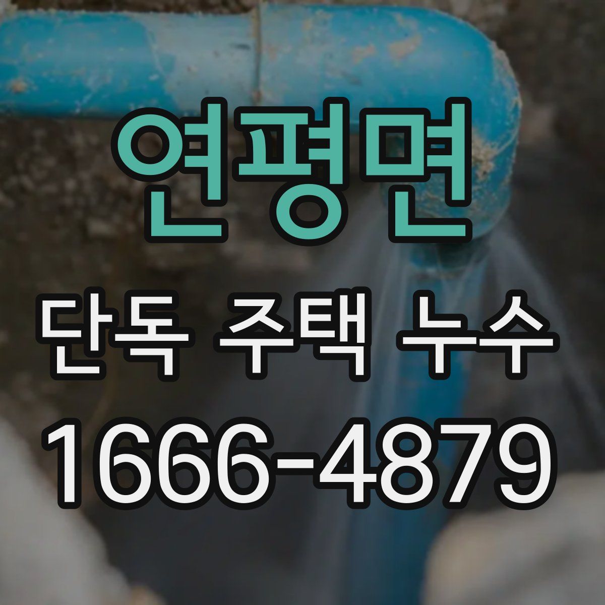 연평면 단독 주택 누수