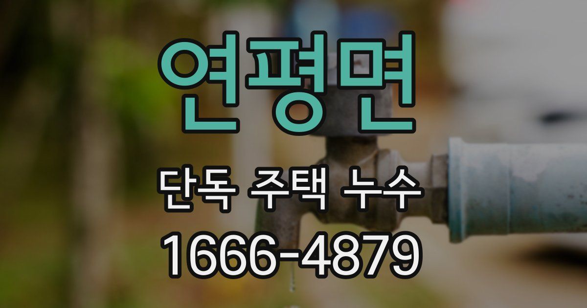연평면 단독 주택 누수