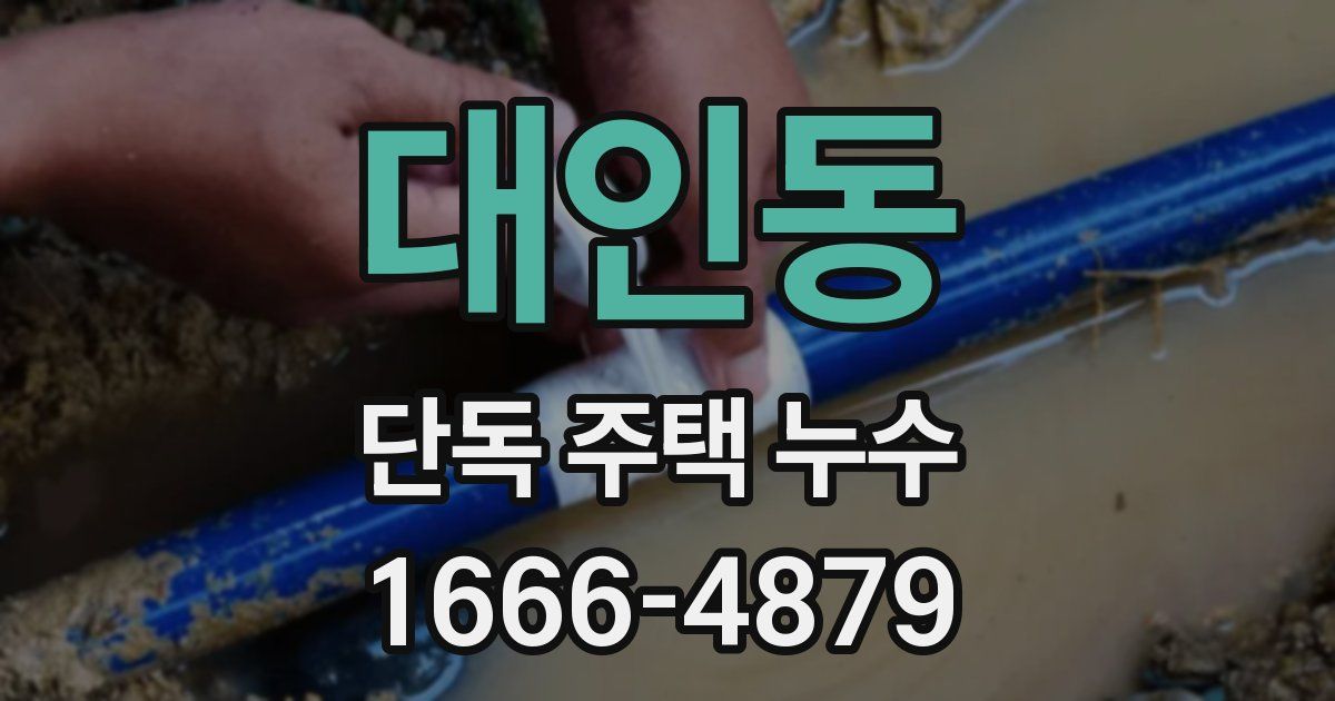 대인동 단독 주택 누수