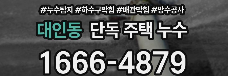 대인동 단독 주택 누수